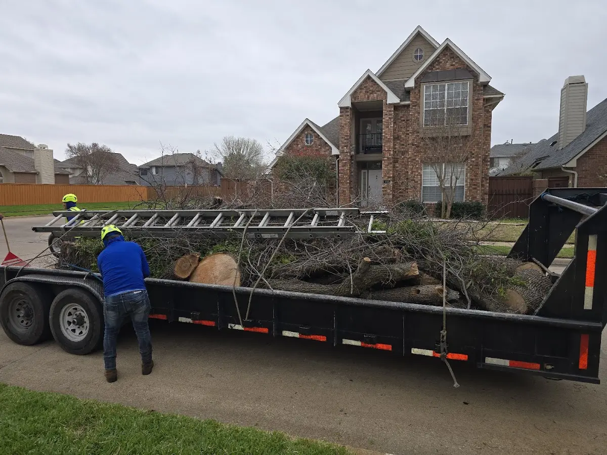Expert Tree Fertilization with proper safety equipment in Picabo